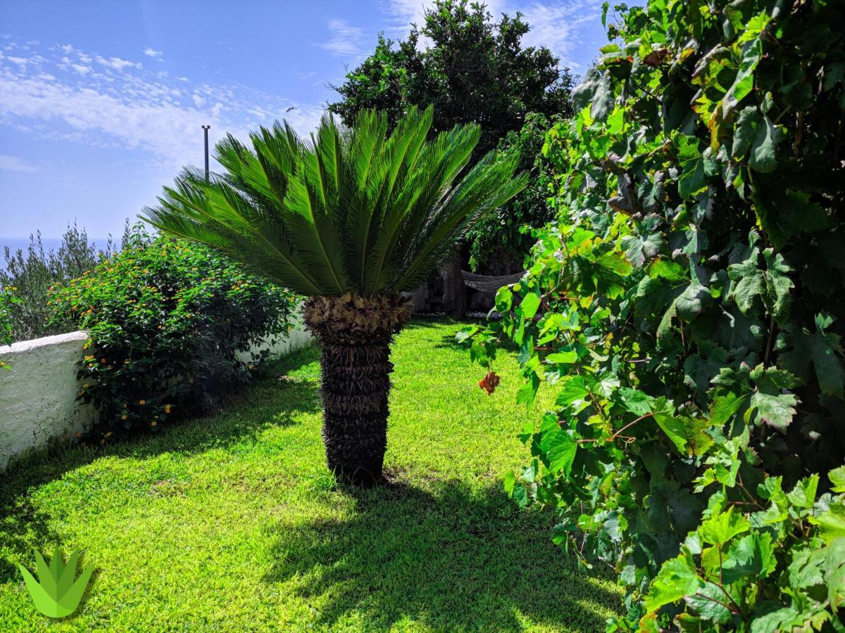 Villa Delle Agavi Vietri sul Mare Exterior photo