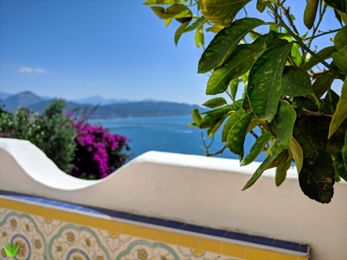 Villa Delle Agavi Vietri sul Mare Exterior photo