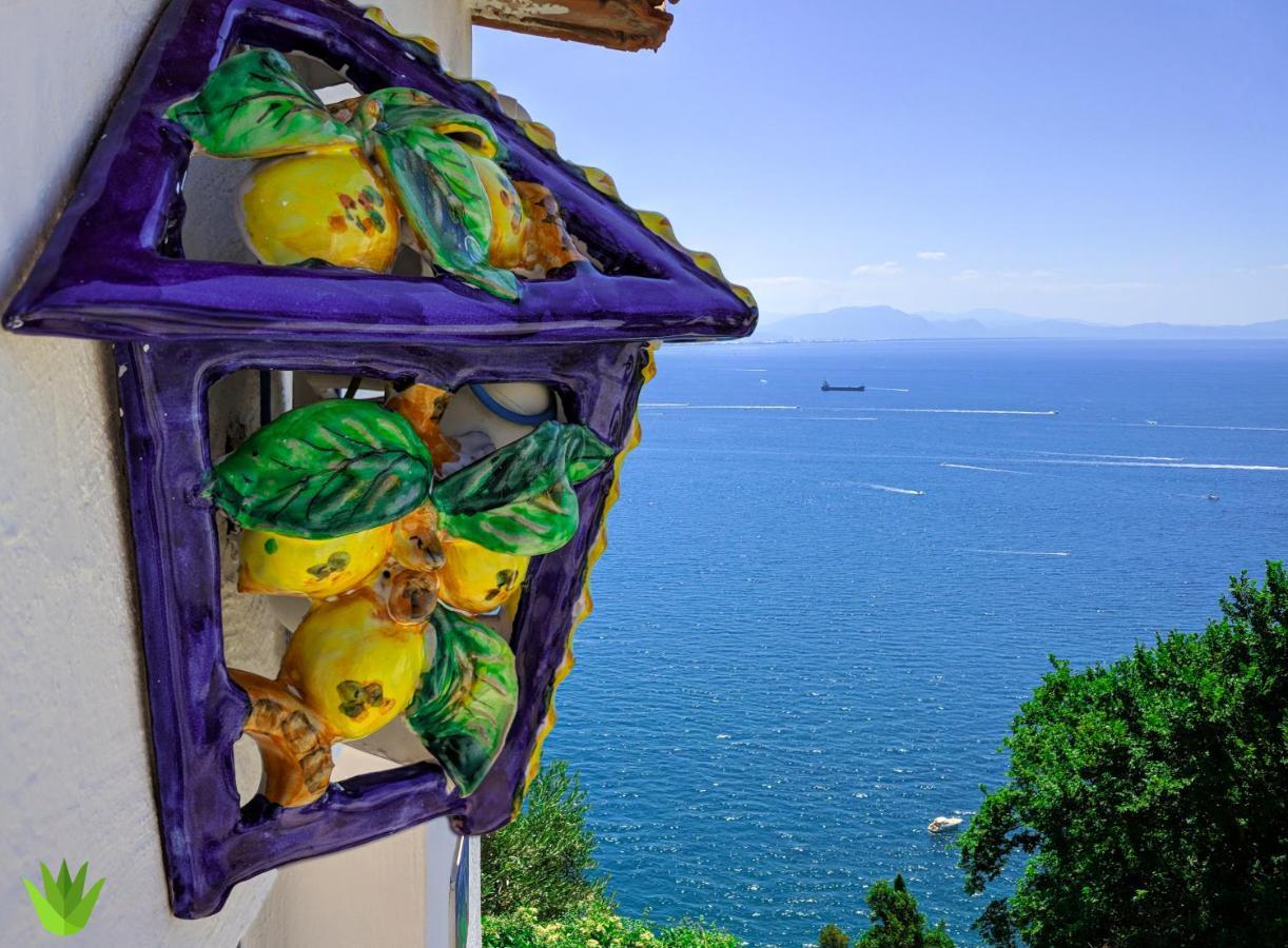 Villa Delle Agavi Vietri sul Mare Exterior photo