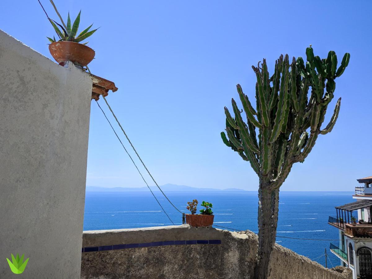 Villa Delle Agavi Vietri sul Mare Exterior photo