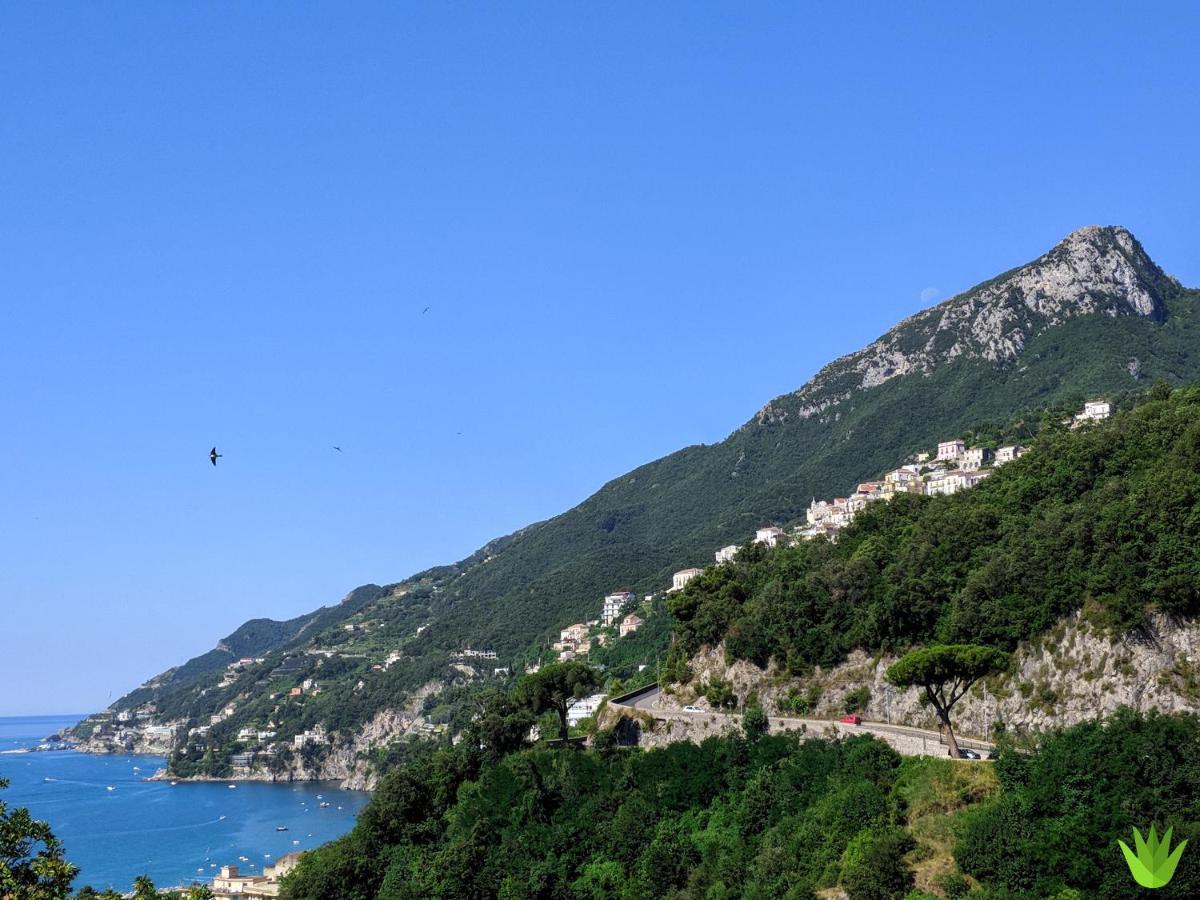 Villa Delle Agavi Vietri sul Mare Exterior photo